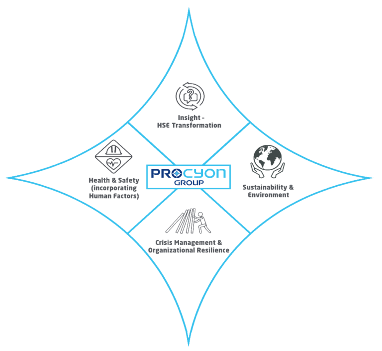 Procyon Group Dubai Solutions Model
