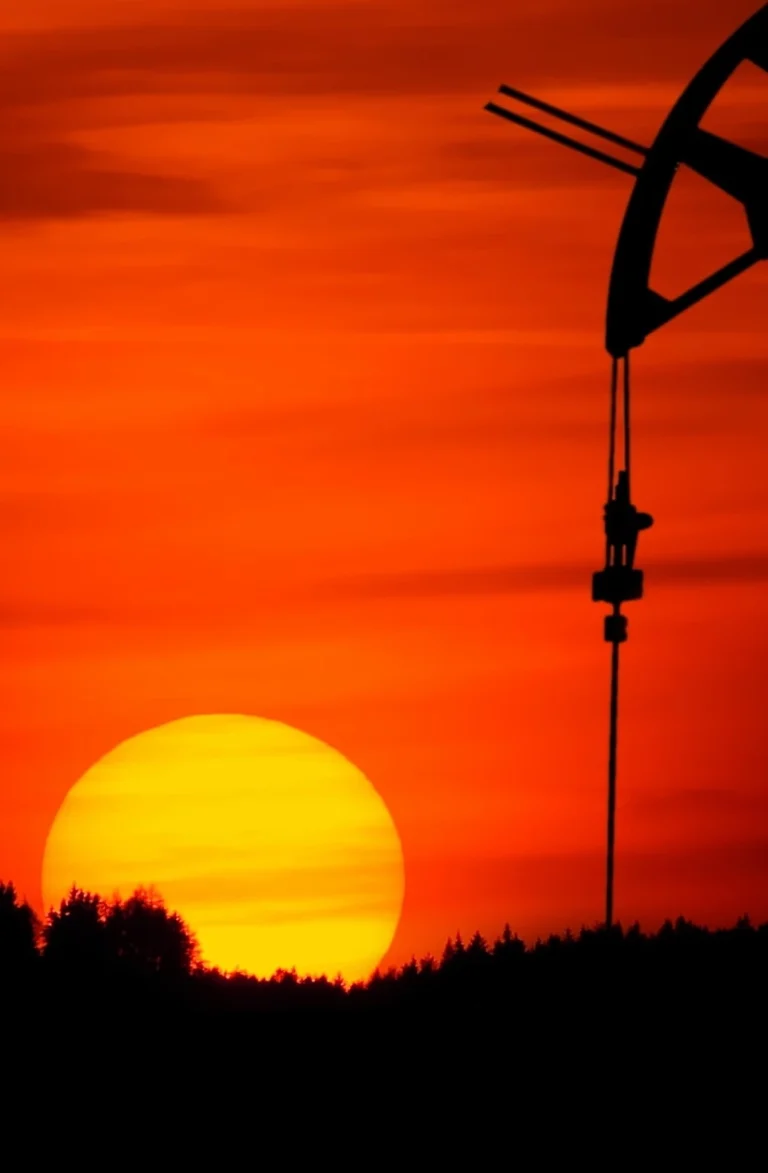 Procyon Group Sustainability consultancy Dubai